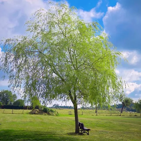 & Restaurant Maison Pal'ange デュルビュイ