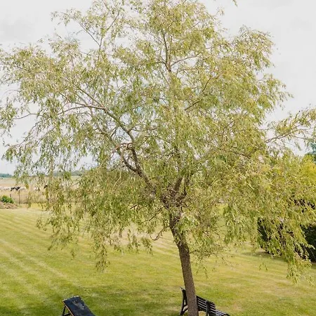 ホテル & Restaurant Maison Pal'ange デュルビュイ