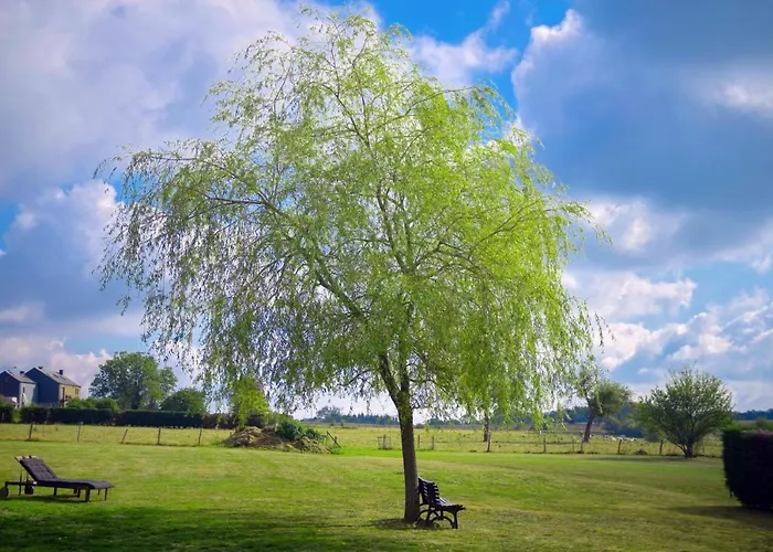 & Restaurant Maison Pal'ange Durbuy