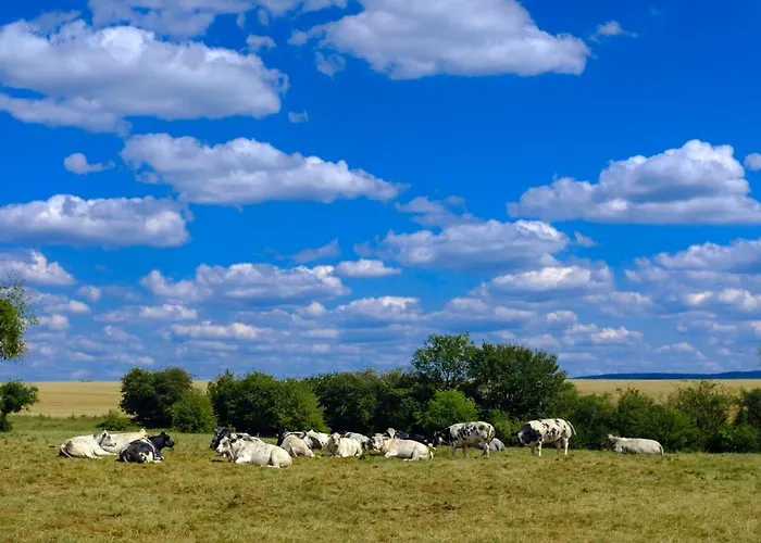 & Restaurant Maison Pal'ange